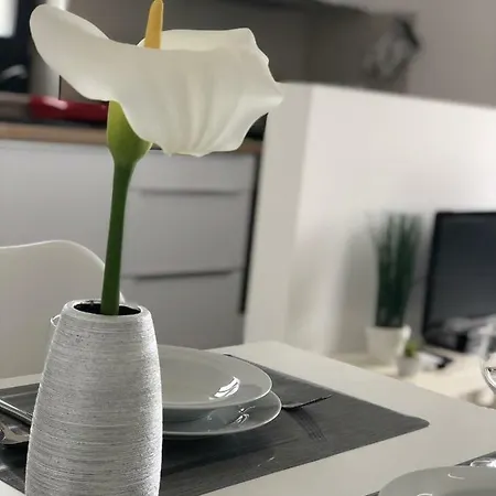 Apartment Oasis